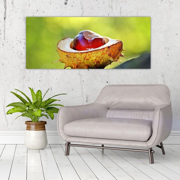 Slika kestena (120x50 cm)