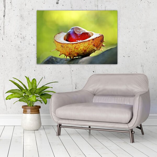 Slika kestena (90x60 cm)