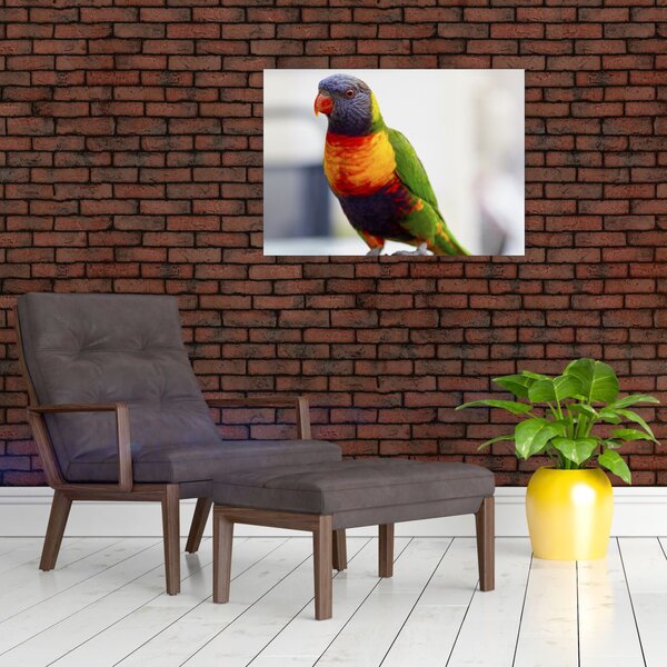 Slika papige (70x50 cm)