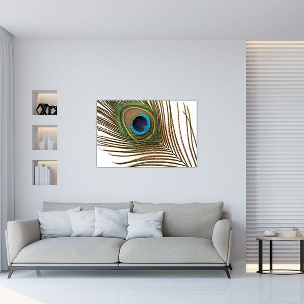 Slika paunovog perja (90x60 cm)