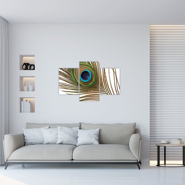 Slika paunovog perja (90x60 cm)