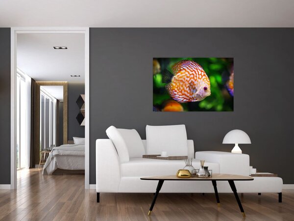 Slika ribe (90x60 cm)