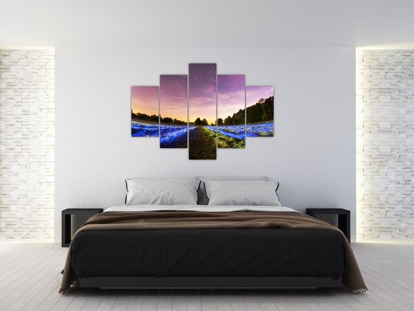 Slika polja u boji (150x105 cm)