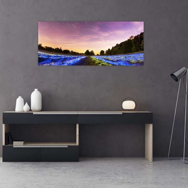 Slika polja u boji (120x50 cm)