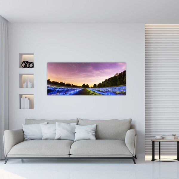 Slika polja u boji (120x50 cm)