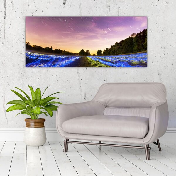 Slika polja u boji (120x50 cm)