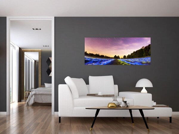 Slika polja u boji (120x50 cm)