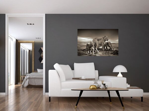 Slika crno-bijelih lavova (90x60 cm)