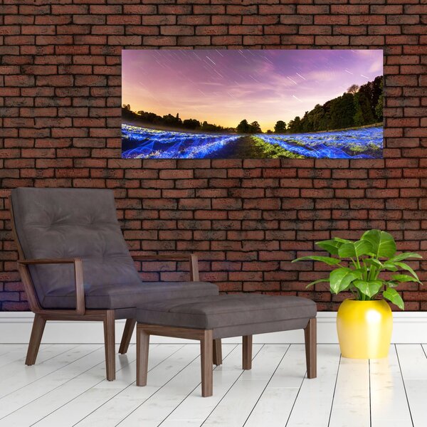 Slika polja u boji (120x50 cm)