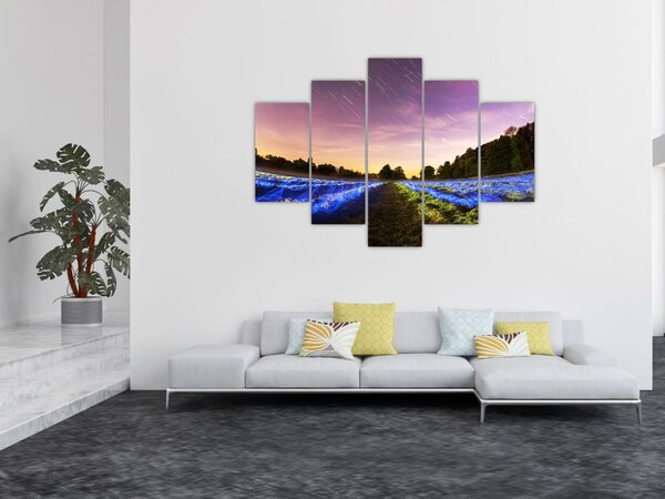 Slika polja u boji (150x105 cm)