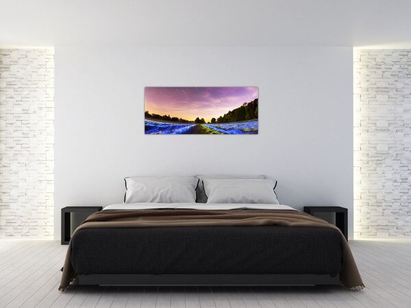 Slika polja u boji (120x50 cm)