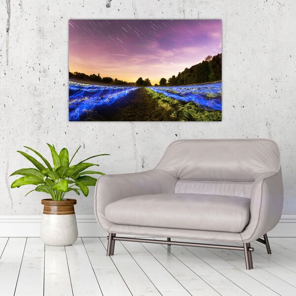 Slika polja u boji (90x60 cm)