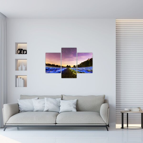 Slika polja u boji (90x60 cm)
