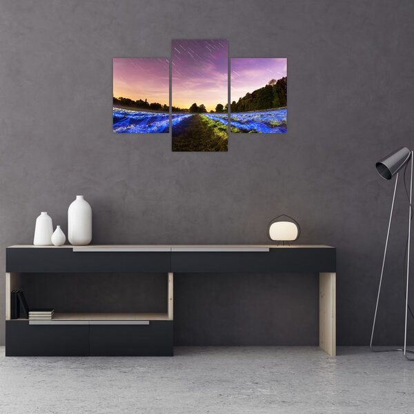 Slika polja u boji (90x60 cm)