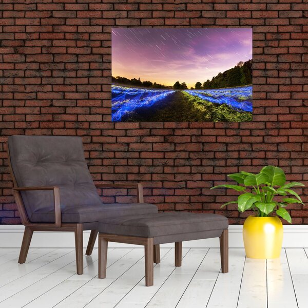 Slika polja u boji (90x60 cm)