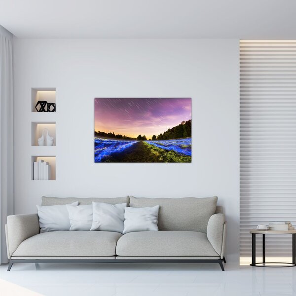 Slika polja u boji (90x60 cm)