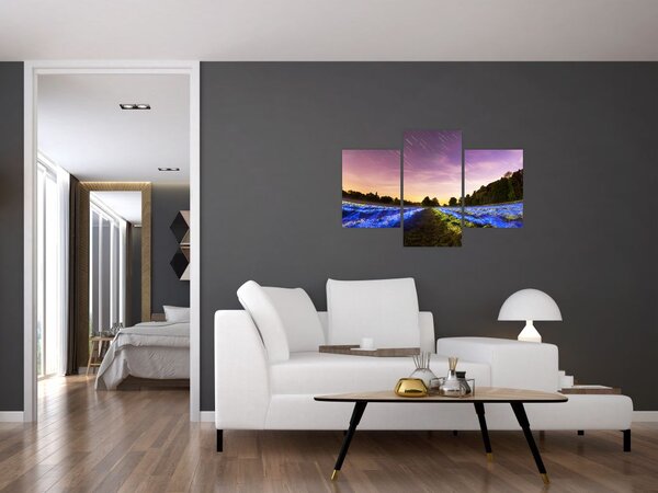Slika polja u boji (90x60 cm)