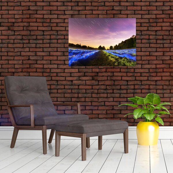 Slika polja u boji (70x50 cm)
