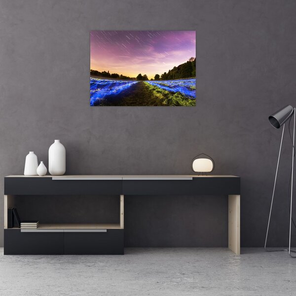 Slika polja u boji (70x50 cm)