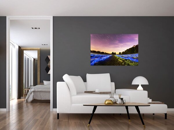 Slika polja u boji (90x60 cm)