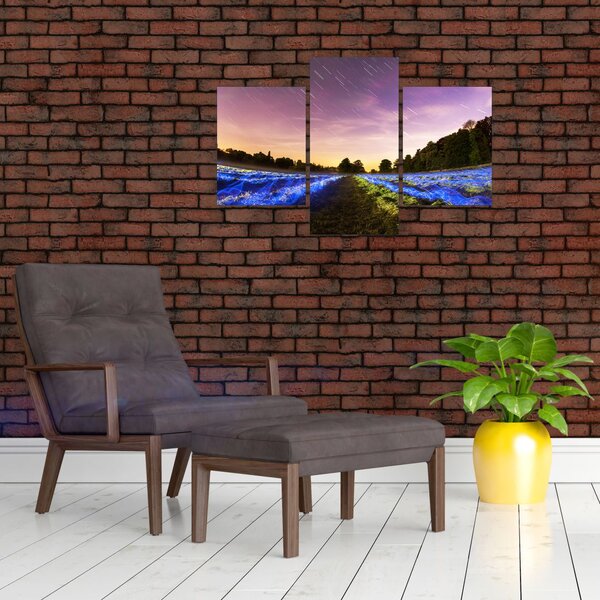 Slika polja u boji (90x60 cm)