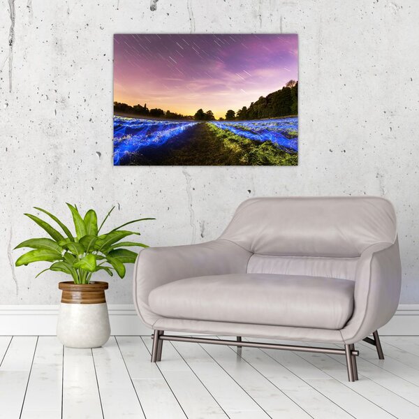 Slika polja u boji (70x50 cm)