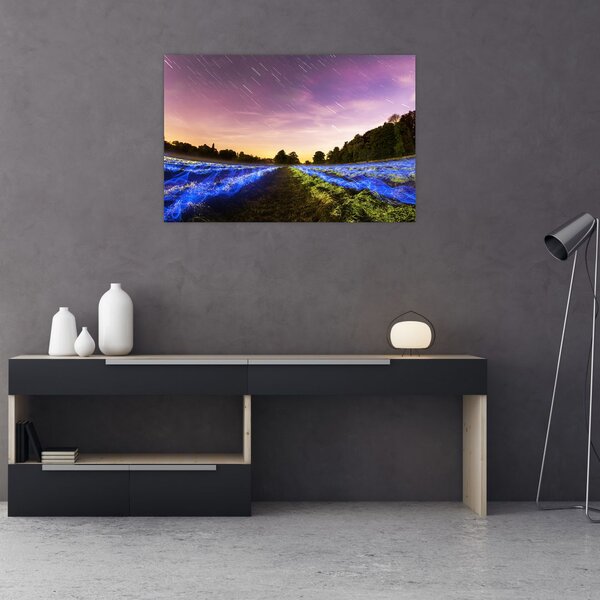 Slika polja u boji (90x60 cm)