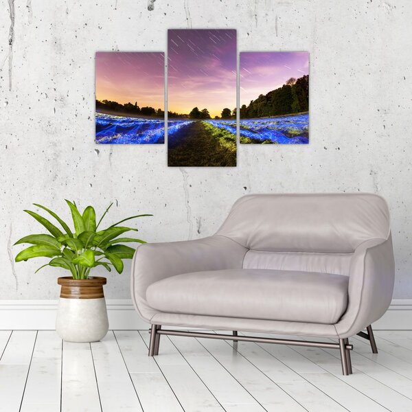 Slika polja u boji (90x60 cm)