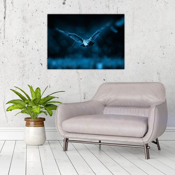 Slika leteće sove (70x50 cm)