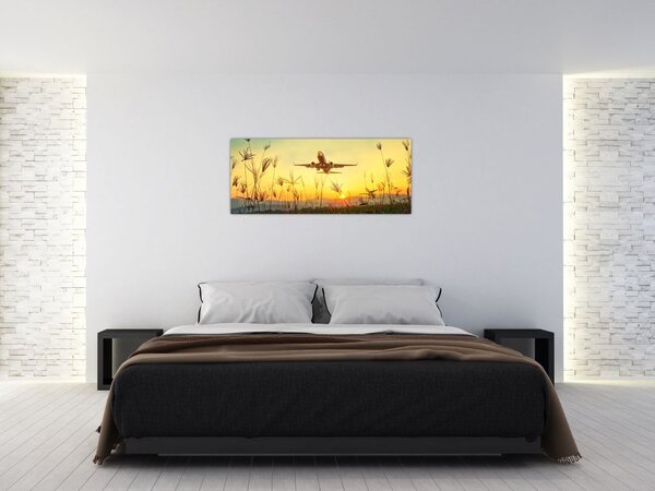 Slika zrakoplova u polijetanju (120x50 cm)