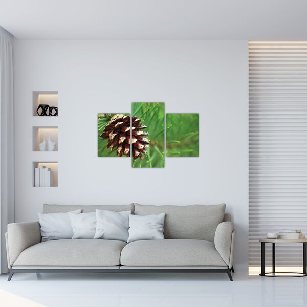 Slika češera (90x60 cm)