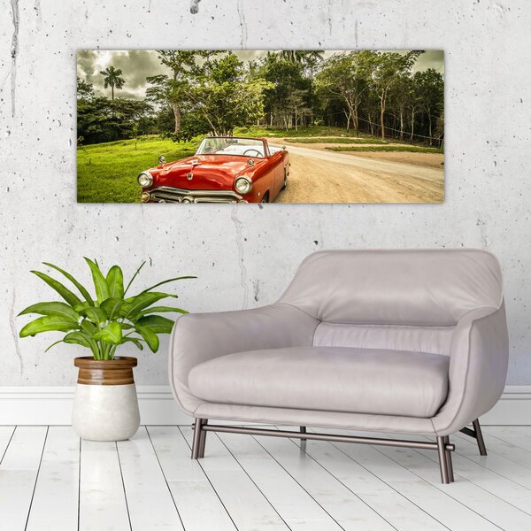 Slika - veteranski automobil u prirodi (120x50 cm)