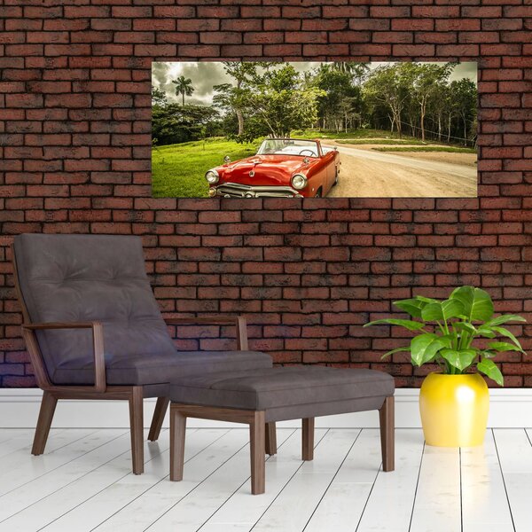 Slika - veteranski automobil u prirodi (120x50 cm)