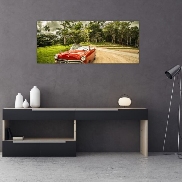 Slika - veteranski automobil u prirodi (120x50 cm)