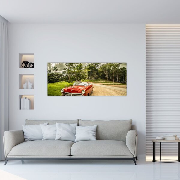Slika - veteranski automobil u prirodi (120x50 cm)