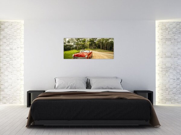 Slika - veteranski automobil u prirodi (120x50 cm)