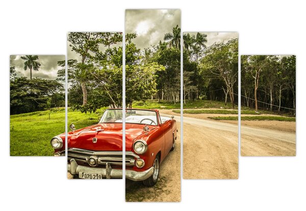 Slika - veteranski automobil u prirodi (150x105 cm)