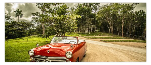 Slika - veteranski automobil u prirodi (120x50 cm)