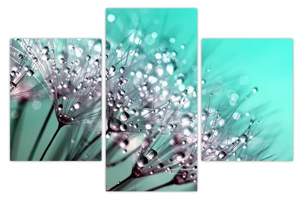 Slika - rosna biljka (90x60 cm)