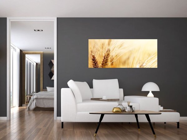 Slika - detalj žita (120x50 cm)