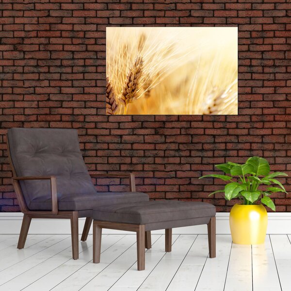 Slika - detalj žita (90x60 cm)