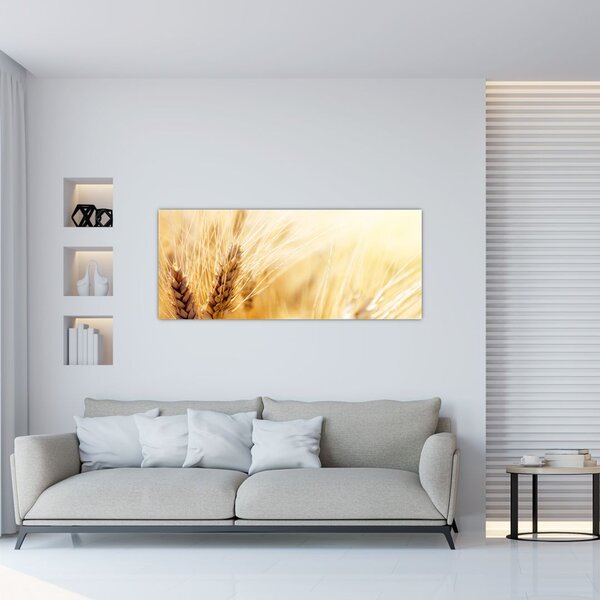 Slika - detalj žita (120x50 cm)