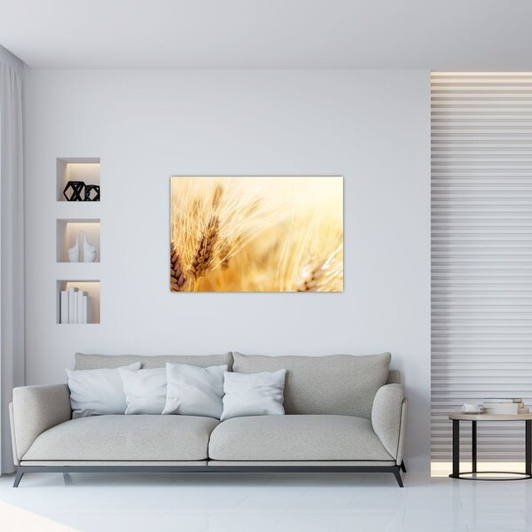 Slika - detalj žita (90x60 cm)