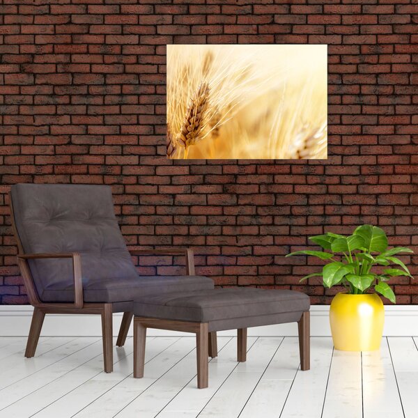 Slika - detalj žita (70x50 cm)