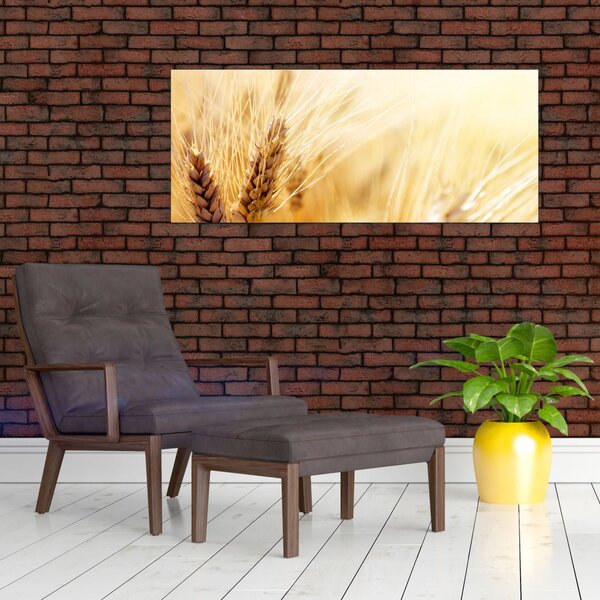 Slika - detalj žita (120x50 cm)