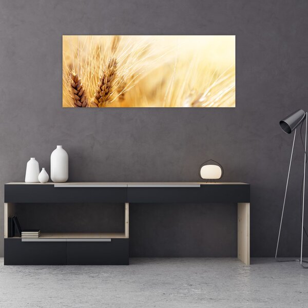 Slika - detalj žita (120x50 cm)