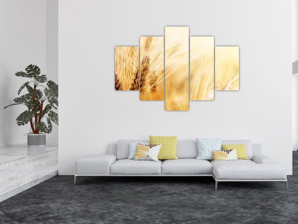 Slika - detalj žita (150x105 cm)