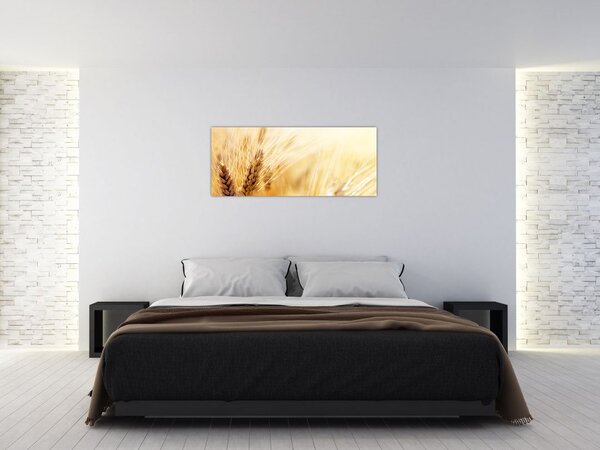 Slika - detalj žita (120x50 cm)