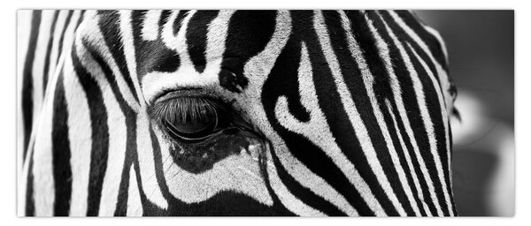Slika zebre (120x50 cm)