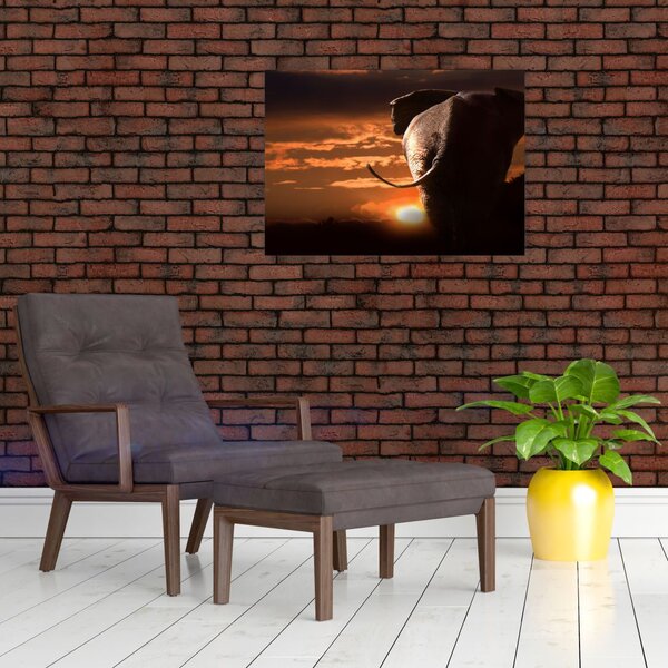 Slika slona (70x50 cm)